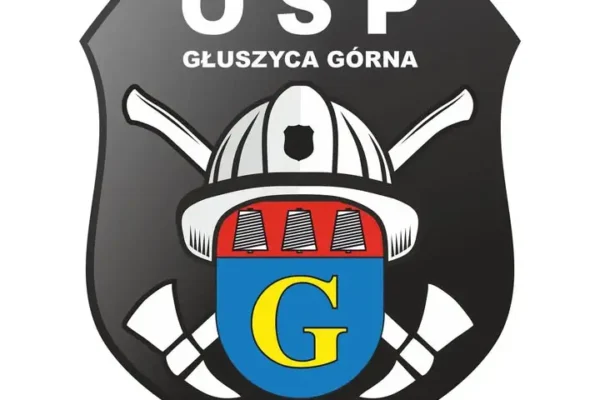 Interwencja strażaków w Jedlinie-Zdroju: powalone drzewo na ul. Mostowej