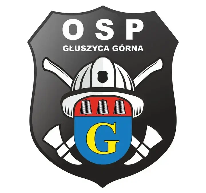 Powalone drzewo na ul. Mostowej w Jedlinie-Zdroju – interwencja strażaków
