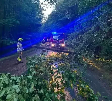 Seria interwencji OSP Mieroszów: od nagłego zatrzymania krążenia po usuwanie skutków wichury