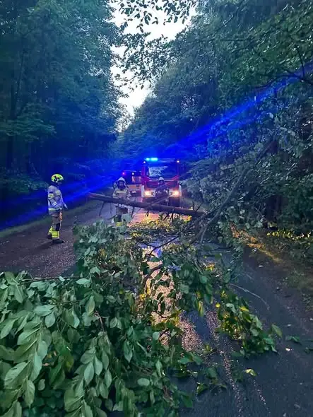 Seria interwencji OSP Mieroszów: od nagłego zatrzymania krążenia po usuwanie skutków wichury