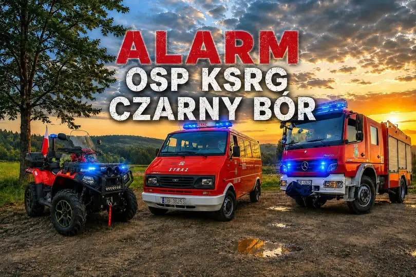 Fałszywy alarm w Czarnym Borze: Drzewo na drodze nie stanowiło zagrożenia