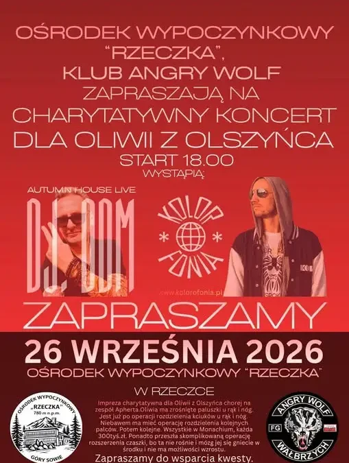 Charytatywny koncert dla Oliwii z Olszyńca w Górach Sowich