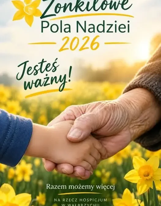 „Pola Nadziei” znów zakwitną w Wałbrzychu. Szkoła włącza się w pomoc hospicjum