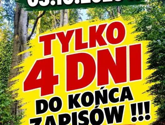 Bieg górski i nordic walking na Dzikowcu – zostały tylko 4 dni na zapisy