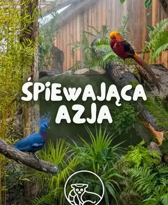 „Śpiewająca Azja” — nowa ptasia ekspozycja w ZOO Łączna już otwarta