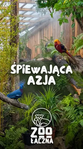 „Śpiewająca Azja” — nowa ptasia ekspozycja w ZOO Łączna już otwarta
