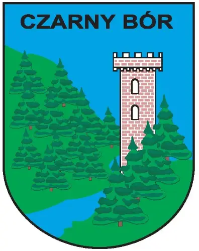 Skalnik Czarny Bór zmierzy się z Silesią Żarów. Historyczny mecz już w niedzielę