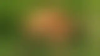 Tłumy pod ZOO Łączna – piknik charytatywny przyciągnął tysiące