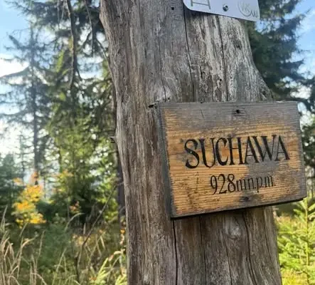 Poranny wypad na szlak: z Andrzejówki przez Suchawę i Kostrzynę do Sokołowska
