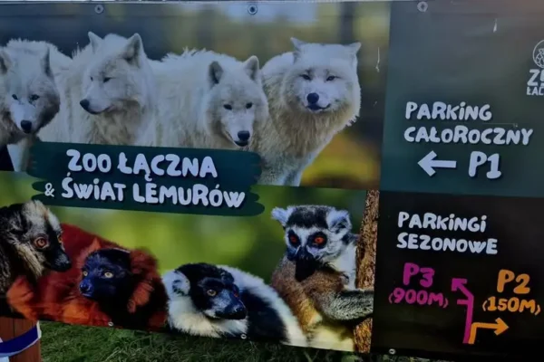 Radni z Mieroszowa zabierają głos w sprawie ZOO Łączna: apel o wyjaśnienia i troskę o zwierzęta