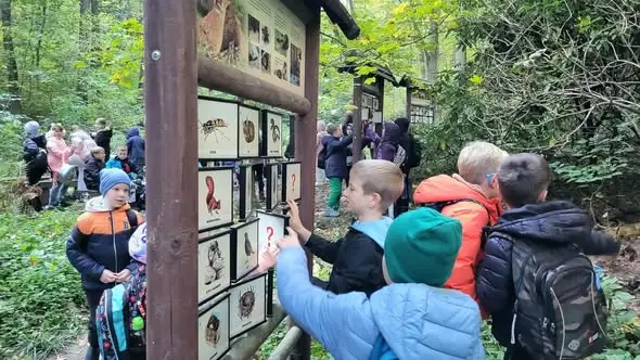 Wycieczka do lasu klas 2a i 3a – spotkanie z leśniczym, muflon i ognisko