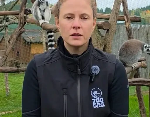 ZOO Łączna bez koordynatora. Marta Zając-Ossowska wycofuje się z deklaracji