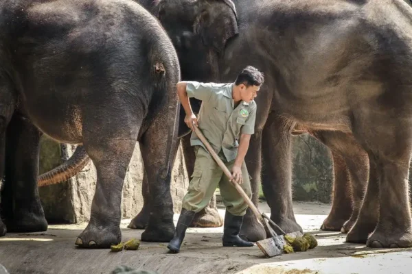 ZOO Łączna apeluje o wsparcie. Właściciel obawia się o los zwierząt